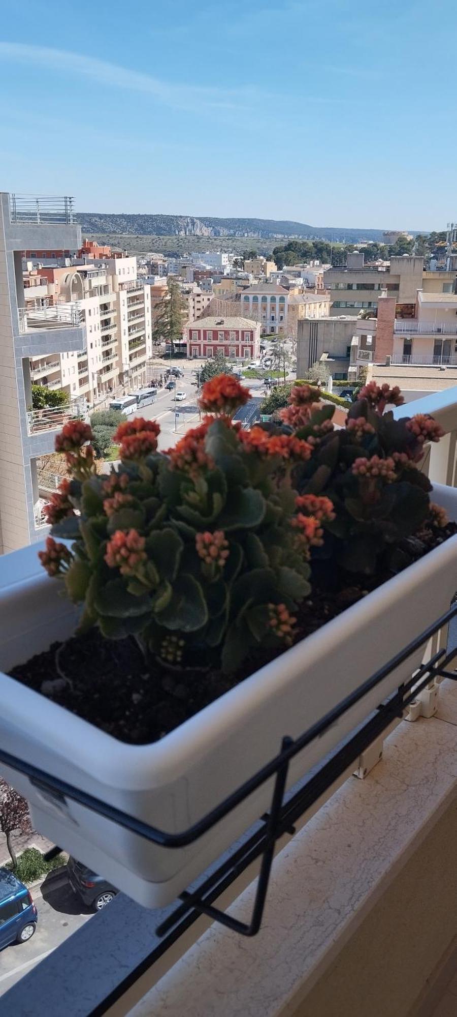 My Home 马泰拉 外观 照片